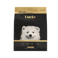 Lucky-cachorros-razas-grandes-AMEANIMAL1