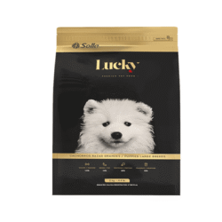 Lucky-cachorros-razas-grandes-AMEANIMAL1