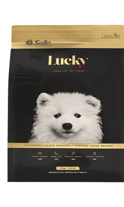 Lucky-cachorros-razas-grandes-AMEANIMAL1