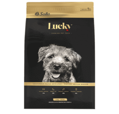 Lucky-cachorros-razas-medianas-AMEANIMAL1