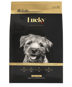Lucky-cachorros-razas-medianas-AMEANIMAL1