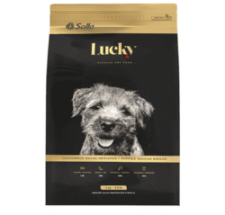 Lucky-cachorros-razas-medianas-AMEANIMAL1