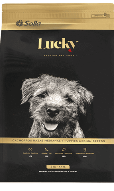 Lucky-cachorros-razas-medianas-AMEANIMAL1