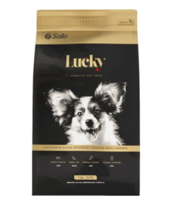 Lucky-cachorros-razas-pequeñas-AMEANIMAL1