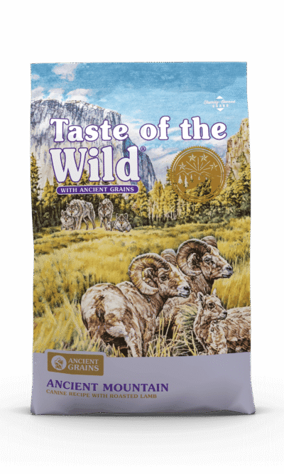 TOW-Ancient-Mountain-AMEANIMAL1