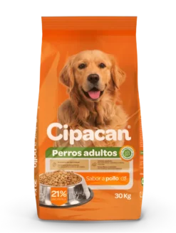 cipa can croquetas pollo