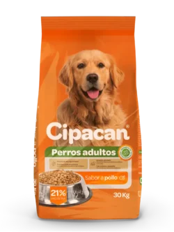 cipa can croquetas pollo