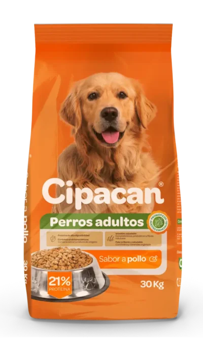 cipa can croquetas pollo