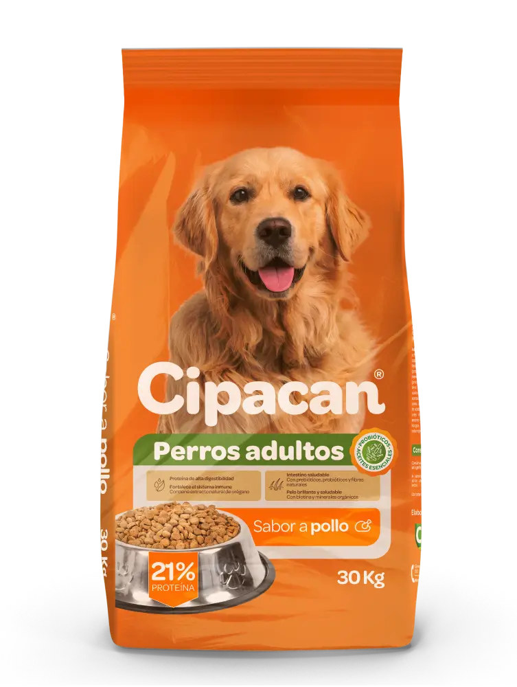 cipa can croquetas pollo