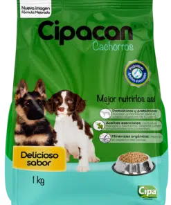 cachorros-cipa-ameanimal1