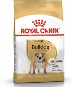 Royal-Canin-Bulldog-Adultos-Ameanimal1