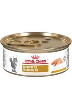 Royal canin urinario lata-ameanimal1