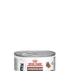 Royal canin kitte gastrointestinal-ameanimal1