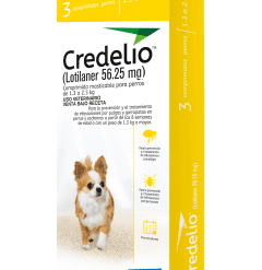 credelioamarillo-ameanimal1