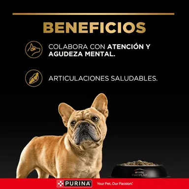 Pro Plan Active Mind adulto razas pequeñas - Imagen 3
