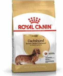 Royalcanin-Dachshund-ameanimal1