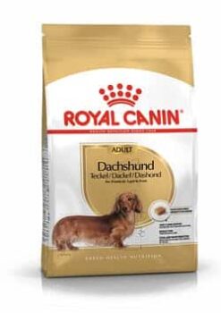 Royalcanin-Dachshund-ameanimal1