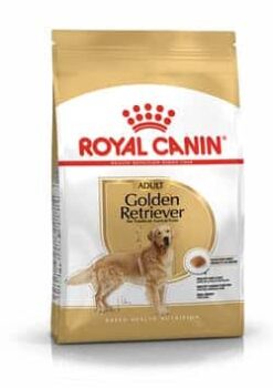 Royalcanin-Goldenretriever-ameanimal1