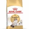 Royalcanin-Ragdoll-Ameanimal1