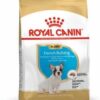 Royalcanin-bulldogfrancespuppy-ameanimal1