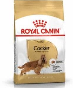 Royalcanin-cocker-ameanimal1