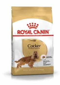 Royalcanin-cocker-ameanimal1