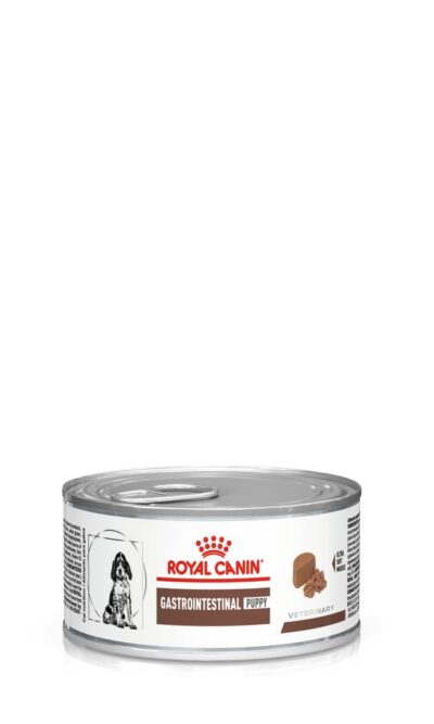 Royalcanin-gastrointestinal-puppy-lata-AMEANIMAL1