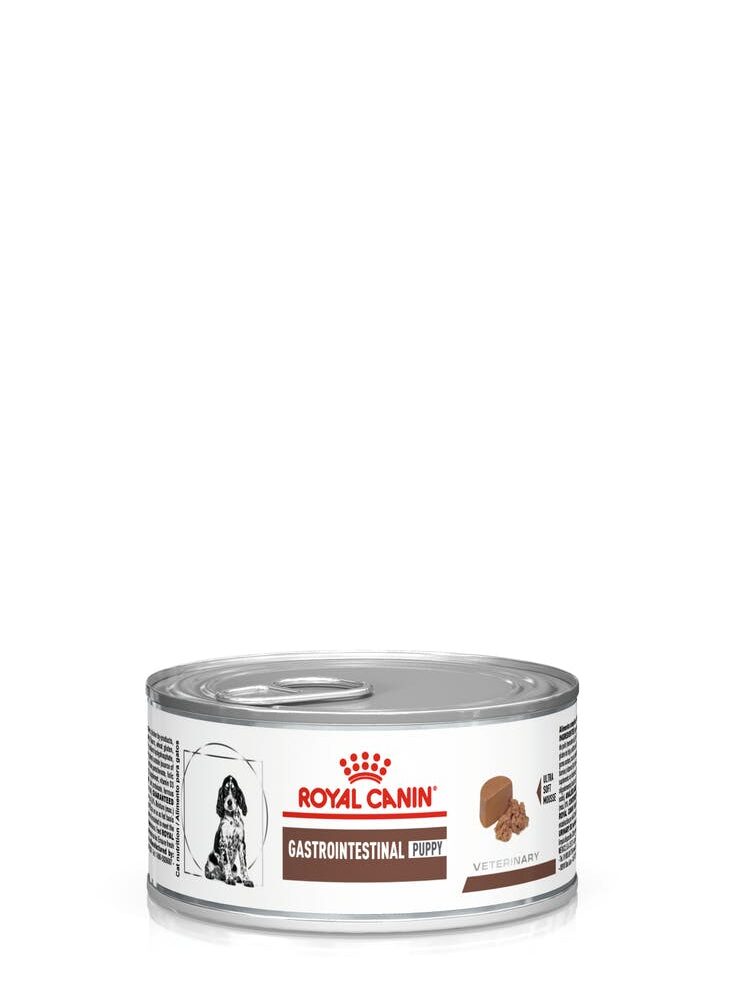 Royalcanin-gastrointestinal-puppy-lata-AMEANIMAL1