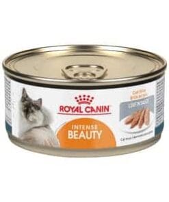 Royalcanin-intensebeauty-wet-ameanimal1
