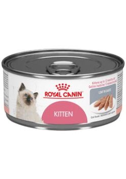 Royalcanin-kitten-wet-ameanimal1