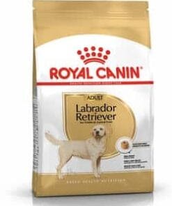 Royalcanin-labradorretriever-ameanimal1