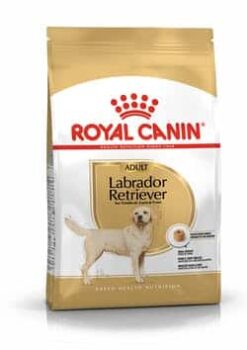 Royalcanin-labradorretriever-ameanimal1