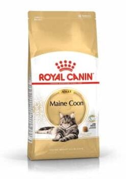 Royal Canin Maine Coon Adulto