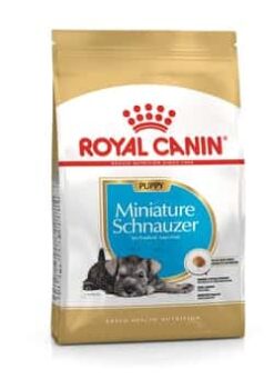 Royalcanin-miniature-schnauzer-puppy-ameanimal1