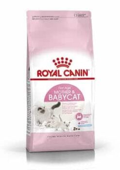 Royalcanin-motherandbabycat-ameanimal1