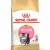 Royalcanin-persian-kitten-ameanimal1