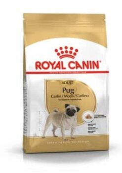 Royalcanin-pug-adulto-ameanimal1