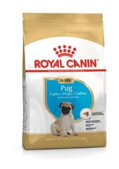 Royalcanin-pug-puppy-ameanimal1