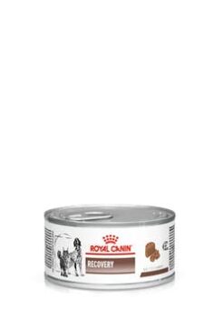 Royalcanin-recovery-ameanimal1