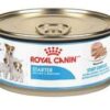 Royalcanin-starter-lata-ameanimal1
