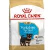 Royalcanin-yorkshire-puppy-ameanimal1