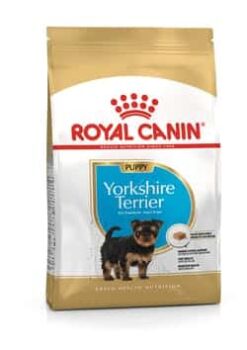 Royalcanin-yorkshire-puppy-ameanimal1