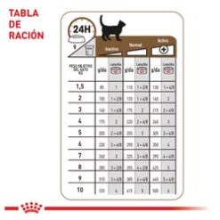 aging-12-wet-ameanimal1