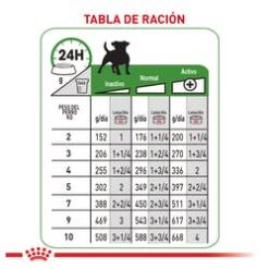 beauty-adult-wet-ameanimal1