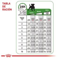 mature-lata-royalcanin-ameanimal1