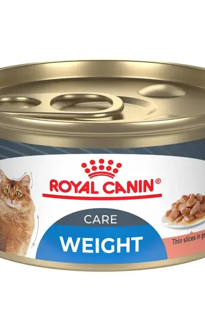 royal canin Weight Care Gato Lata ame animal