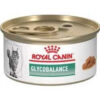royal canin glycobalance gato ame animal
