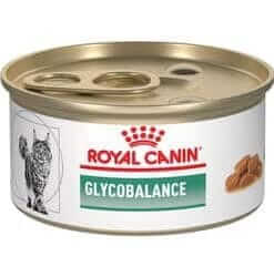 royal canin glycobalance gato ame animal