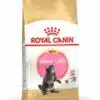royalcanin-mainecoon-kitten-ameanimal1