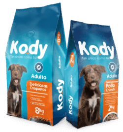 Kody-perro-adulto-ameanimal1